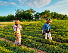 Sustainability and Tradition: The Wixárika Behind Our Peanut Butter